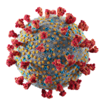 Corona virus microbe