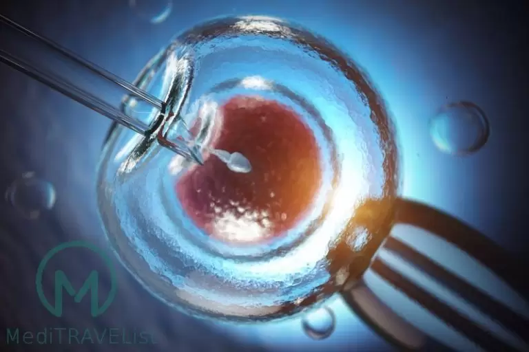 Meditravelist IVF microinjection