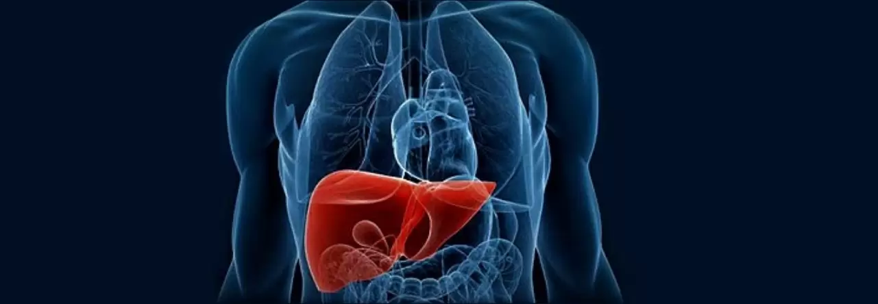 Meditravelist Liver Transplantation 1 2